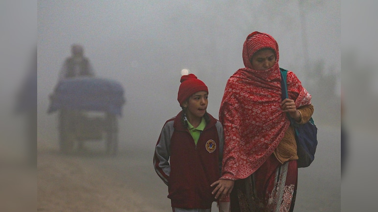बिहार में कड़ाके की ठंड! घने कोहरे से जनजीवन प्रभावित, पटना में कक्षा आठ तक के स्कूल बंद&nbsp;