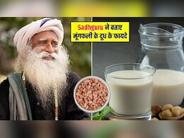 मूंगफली का दूध पीने से क्या होता है? सद्गुरू ने बताया कैसे करें तैयार और क्या हैं फायदे