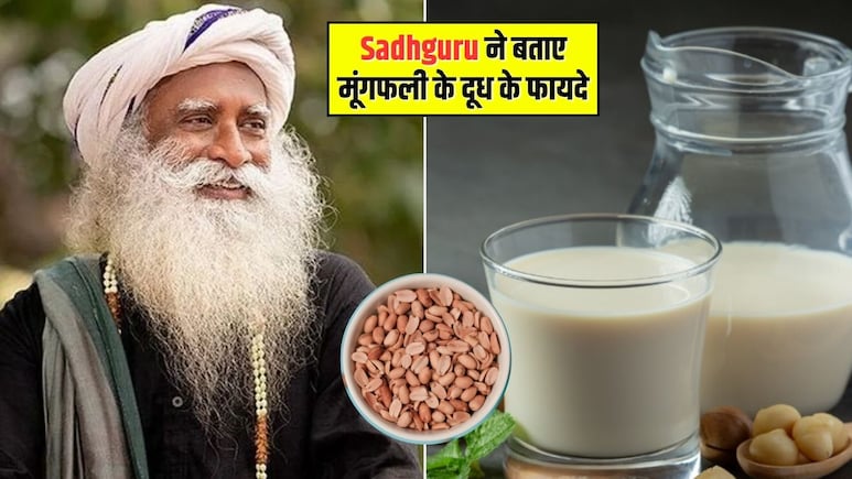मूंगफली का दूध पीने से क्या होता है? सद्गुरू ने बताया कैसे करें तैयार और क्या हैं फायदे