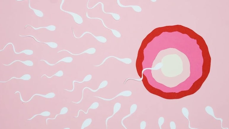 Sperm Donor With Cancer-Causing Gene Fathered 197 Children In Europe, Alarming Investigation Reveals