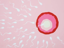 Beyond the Race: A Nutritionist Explains The Science Behind Egg Selection