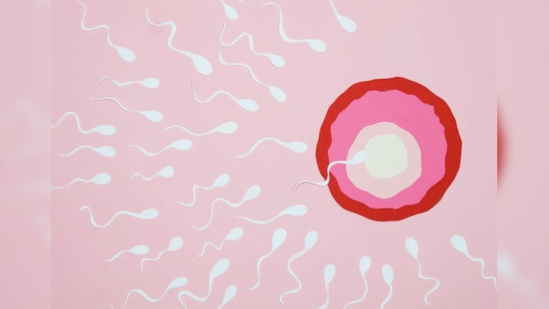 स्पर्म डोनर से विरासत में मिला ‘डेथ जीन’: कई बच्चों में कैंसर की पुष्टि