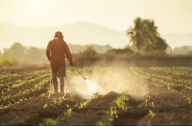 Insecticides India Banks On Premium Products To Achieve Revenue Growth Target In FY26