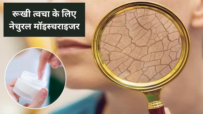 ठंड में त्वचा रूखी और फटने लगी है? घर में लगे इस पौधे के पत्ते में 3 चीजों को मिलाकर खुद का बनाएं मॉइस्चराइजर, सर्दी में मिलेगी नेचुरल ग्लो