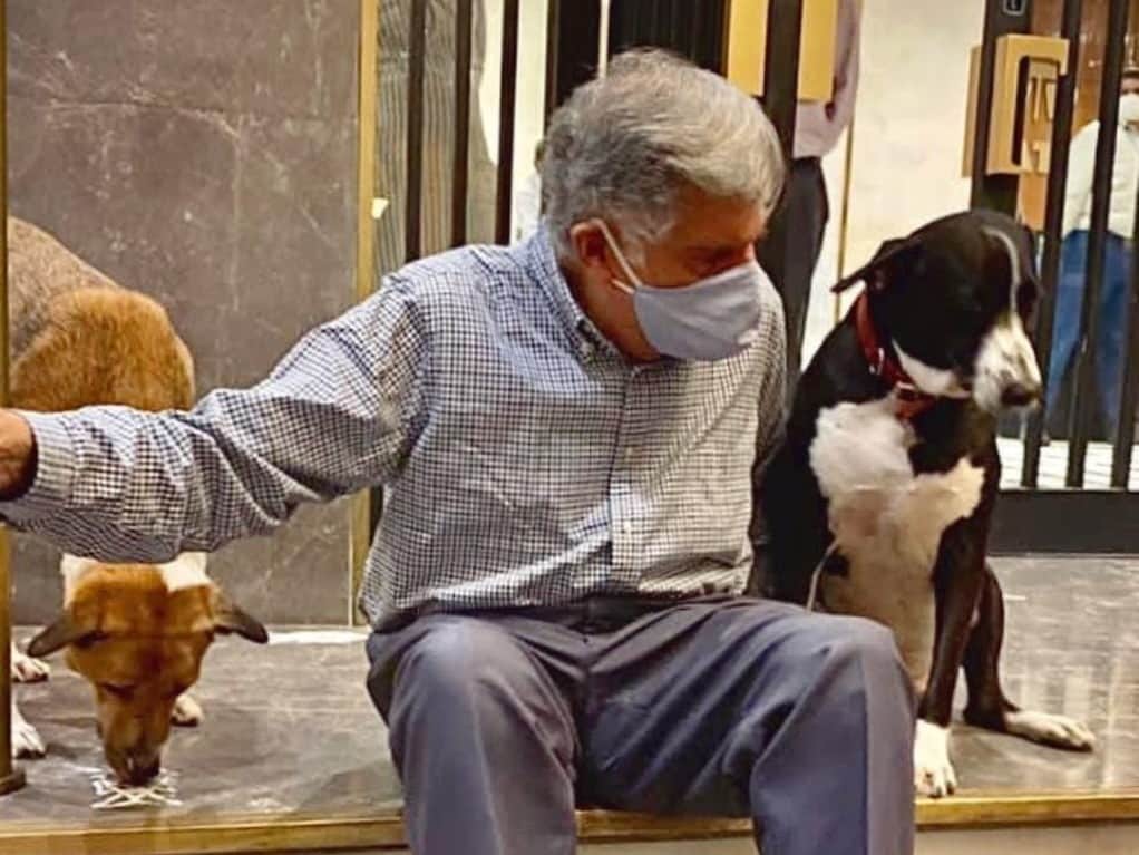 Ratan Tata's Tweet About Taking Care Of Stray Animals During Monsoon Goes Viral; See Here
