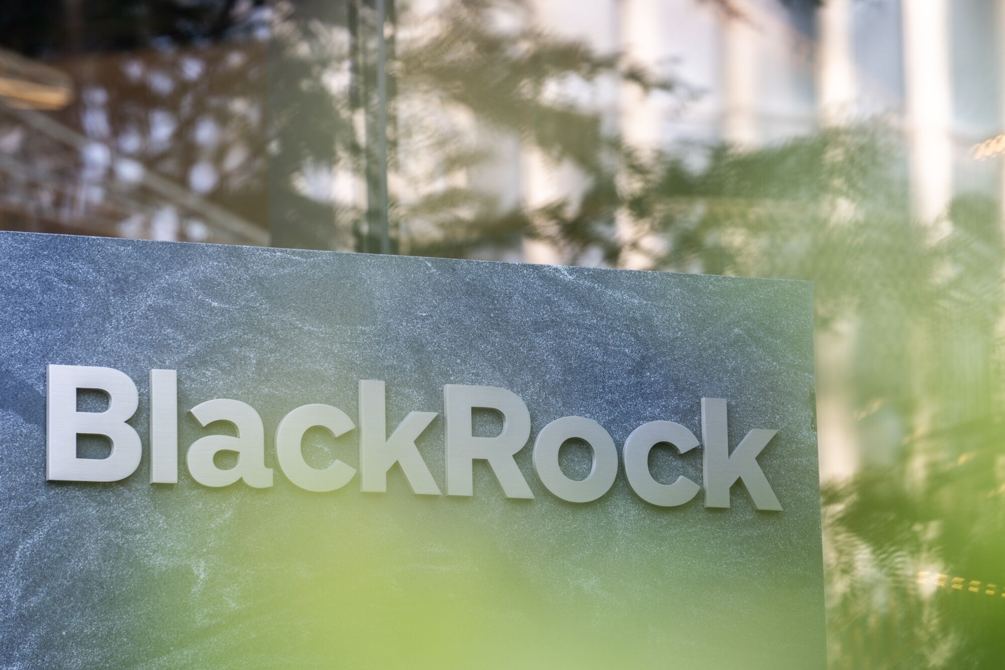 BlackRock In Talks To Acquire Private-Credit Firm HPS Advance