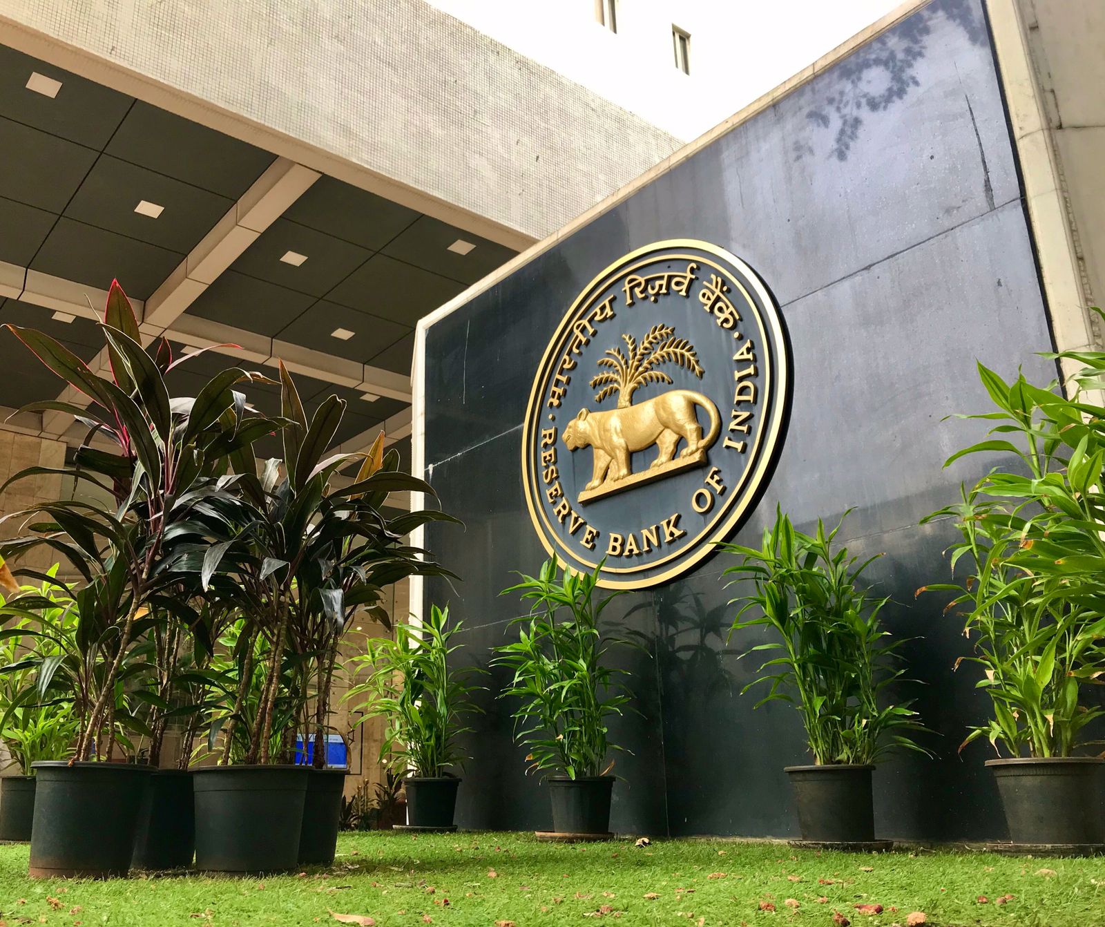 RBI's Discussion Paper Asks If UPI Transactions Should Be Charged