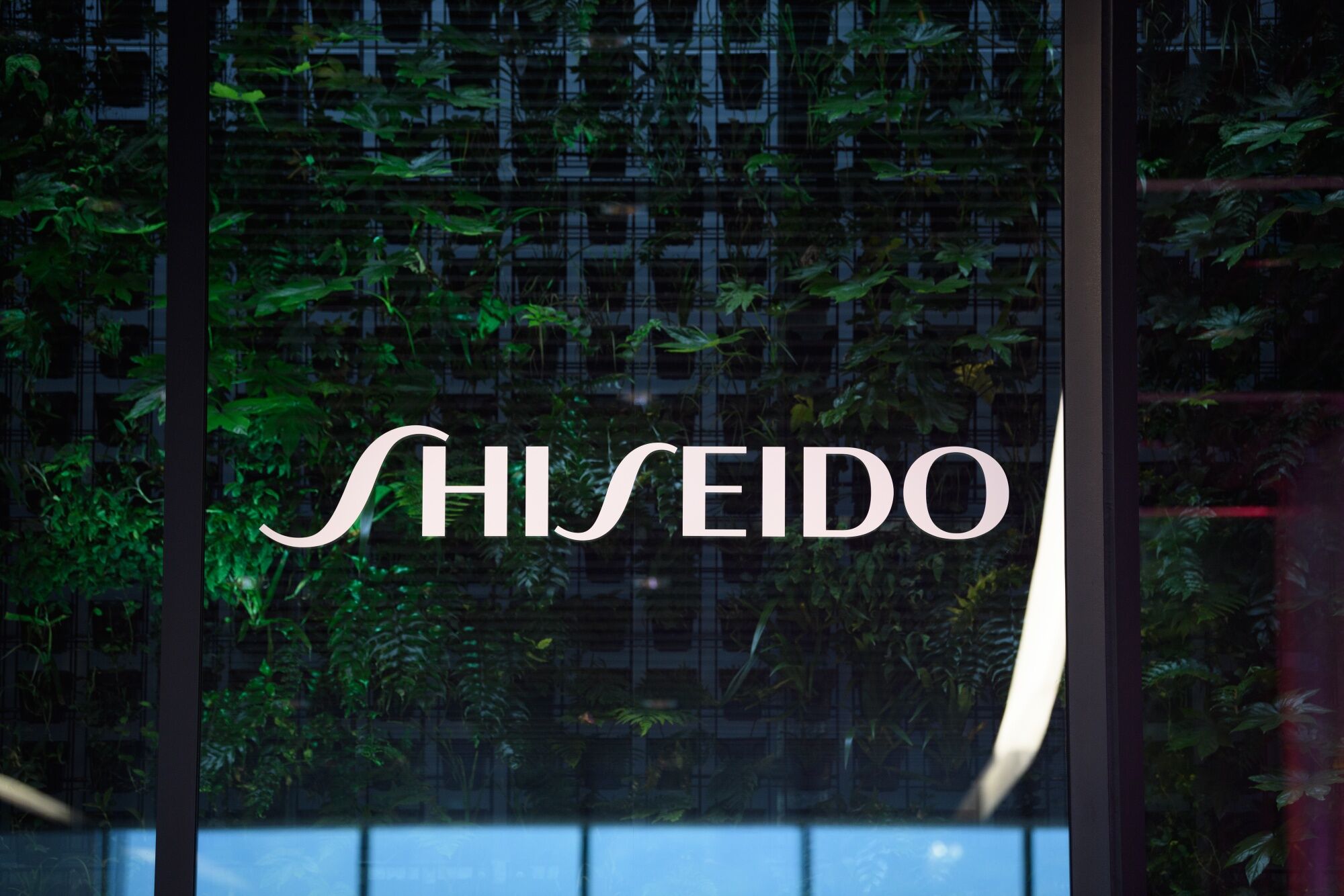 Japan's Largest Cosmetics Firm Shiseido Bets On India Growth With First Launch In A Decade