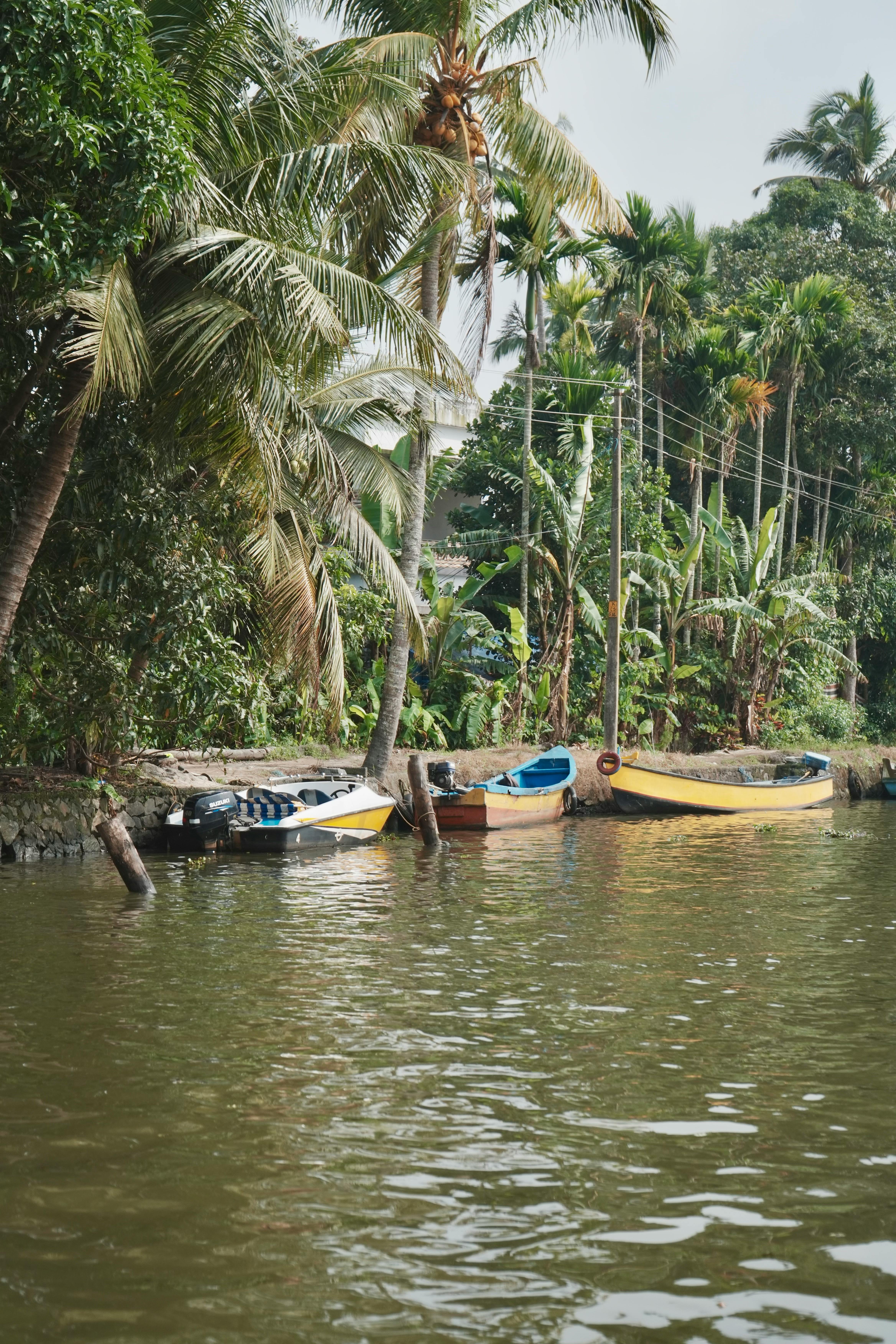 Kerala vs Bali: Which Wellness Destination Is For You?