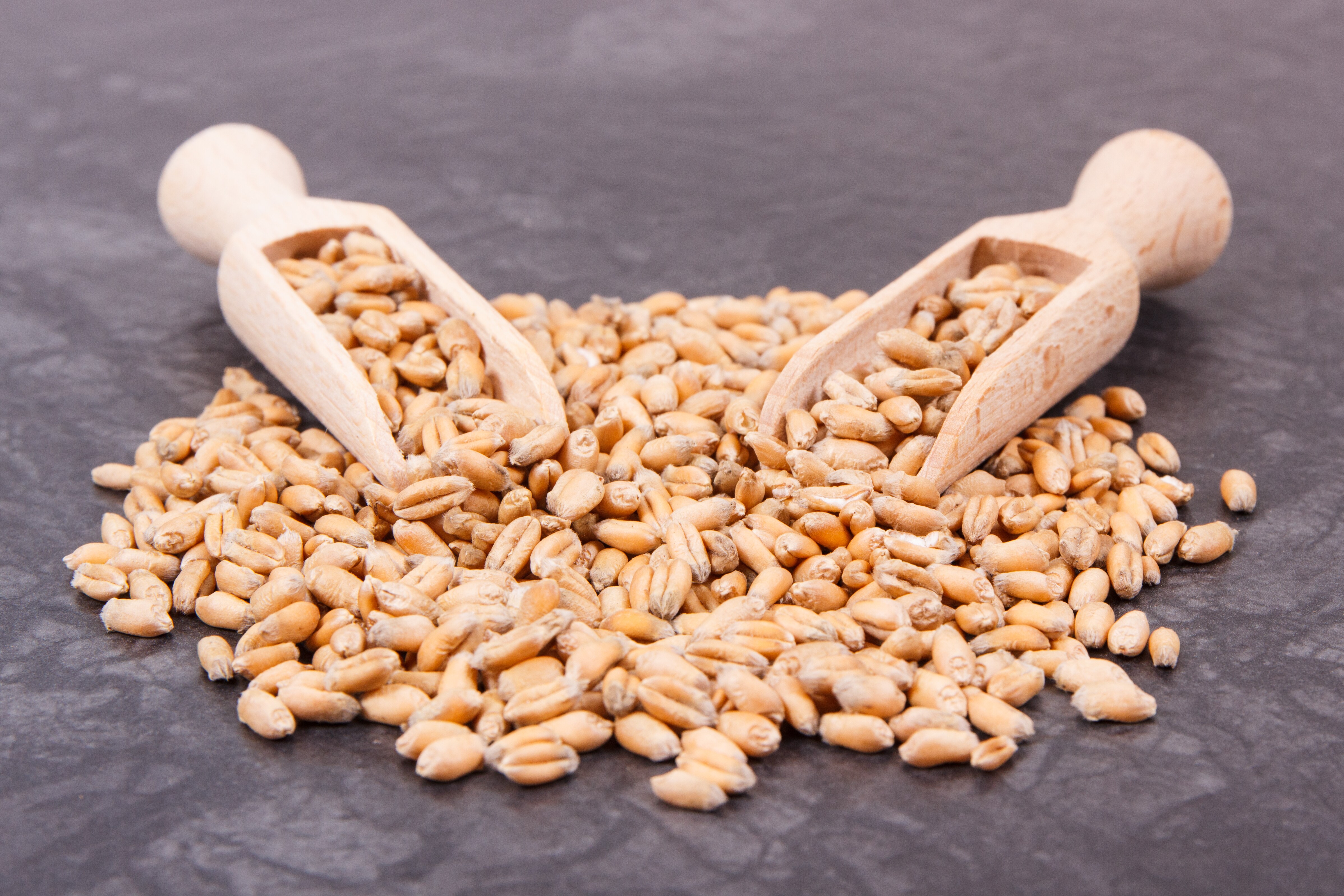 National Co-operative Organics Signs MoU With Uttarakhand For Cereal Procurement
