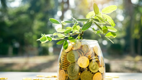 Rs 13 Lakh One-Time Investment Can Return Up To Rs 9 Crore In Less Than 40 Years: Here's How