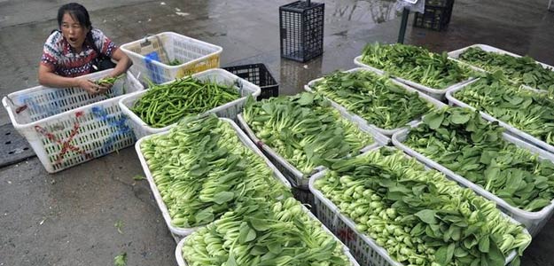 China September Inflation Cools to Near 5-Year Low