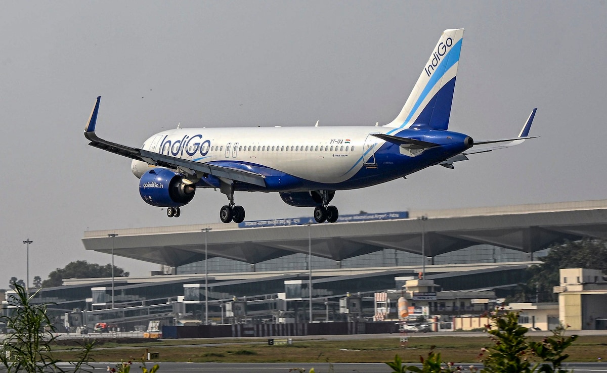 The Art of Baking: From Classic Bread to Artisan Pastries