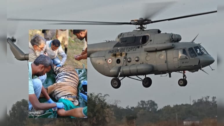 सेना का MI-17 हेलीकॉप्टर, MP से राजस्थान कैसे आई बाघिन? राज्य के पहले टाइगर ट्रांसलोकेशन की कहानी