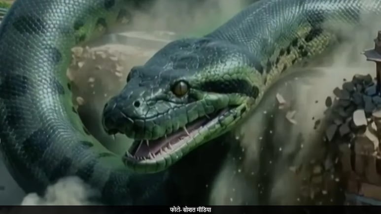 Anaconda Box Office Collection Day 7: दुनिया के सबसे बड़े सांप की फिल्म, मगर कमाई चिंटी बराबर