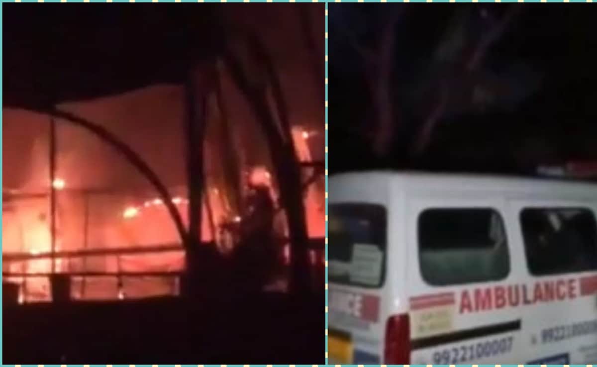 Latest and Breaking News on NDTV