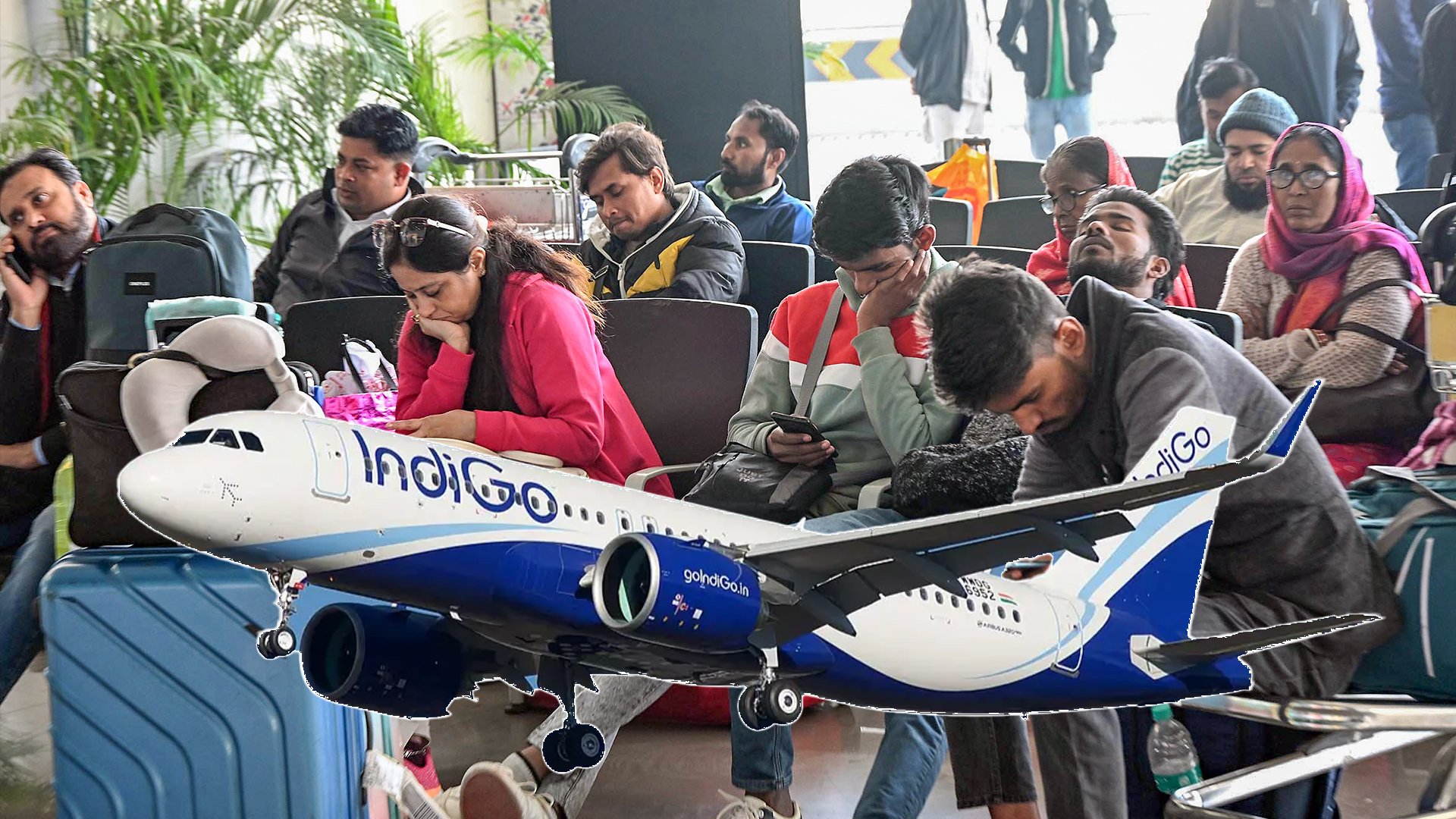 IndiGo Under Fire: DGCA Seeks Answers In 24 Hours After Massive Delays And Cancellations
