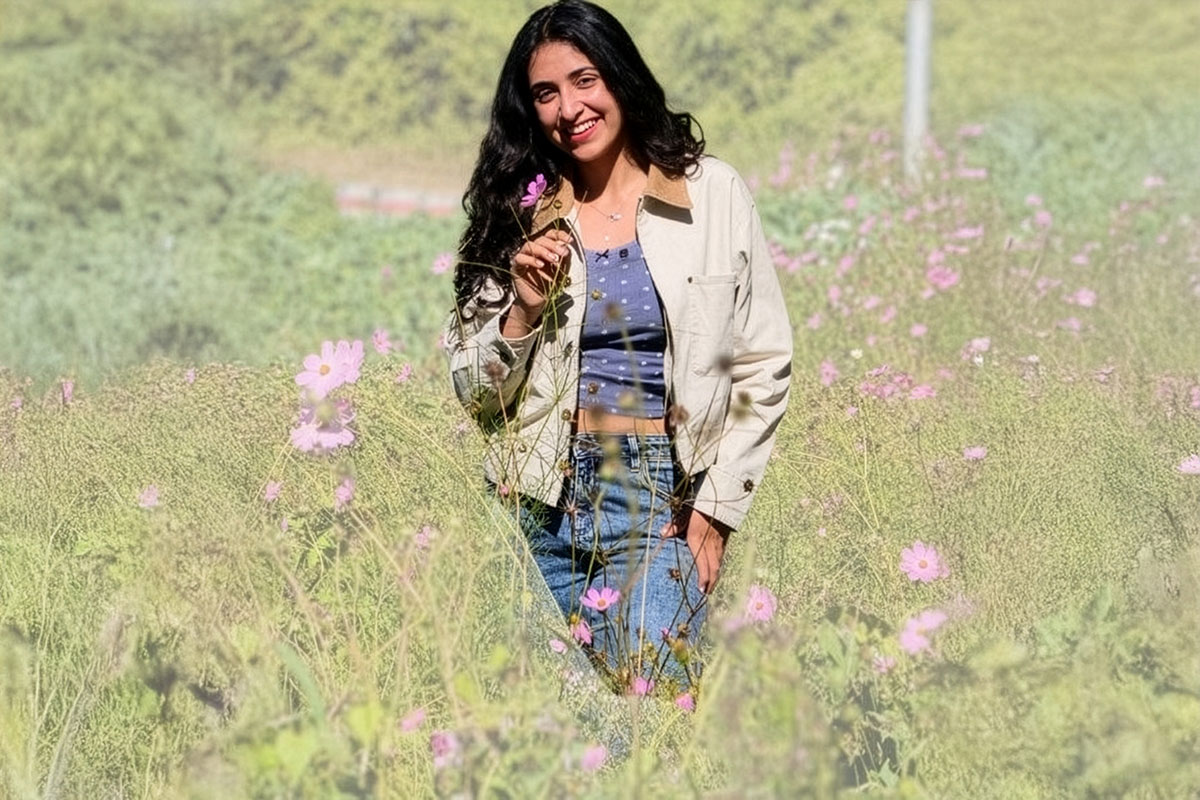 Mizoram Travel Guide: Hidden Gems, Sunrise Spots, and Cultural Wonders