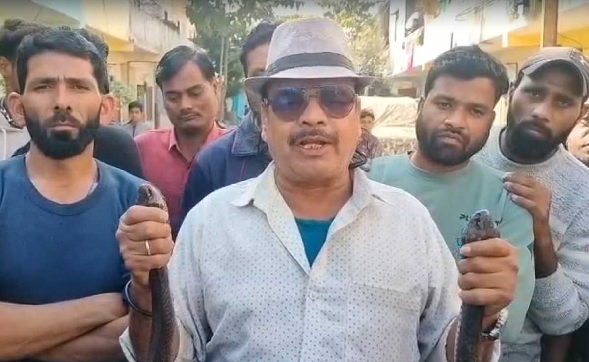 नागिन से रोज में मिलने आता था नाग, दहशत में आए लोगों ने उठाया यह कदम