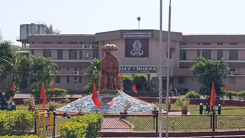 हाईकोर्ट ने पूछा- सम्राट विक्रमादित्य विश्वविद्यालय के लॉ डिपार्टमेंट में शिक्षक क्यों नहीं? भैंस घुमाकर छात्र कर चुके हैं आंदोलन 