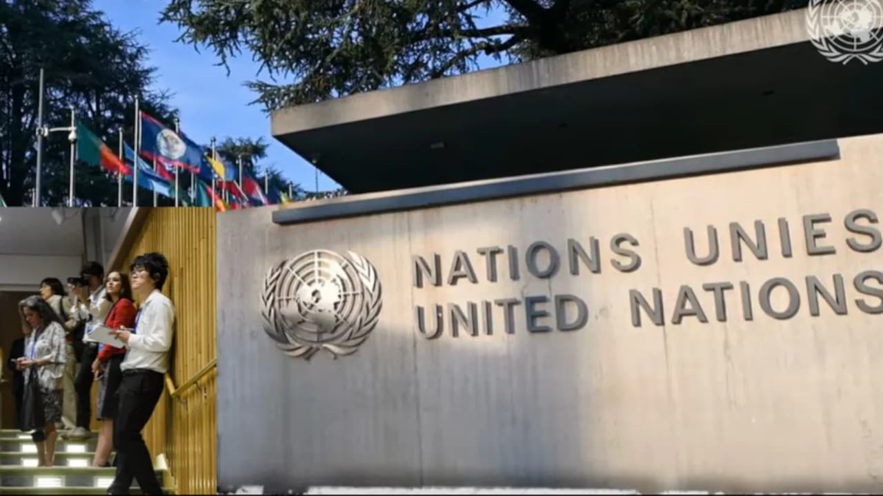 Want To Work At The United Nations? Young Professionals Programme 2026 Applications Open