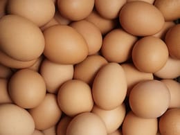 Food Authority Orders Nationwide Testing Of Eggs For Banned Antibiotics