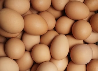 Food Authority Orders Nationwide Testing Of Eggs For Banned Antibiotics