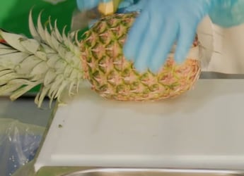 Slovak Woman Peels And Slices Pineapple In 11.43 Seconds, Sets World Record Slovak Woman Peels And Slices Pineapple In 11.43 Seconds, Sets World Record