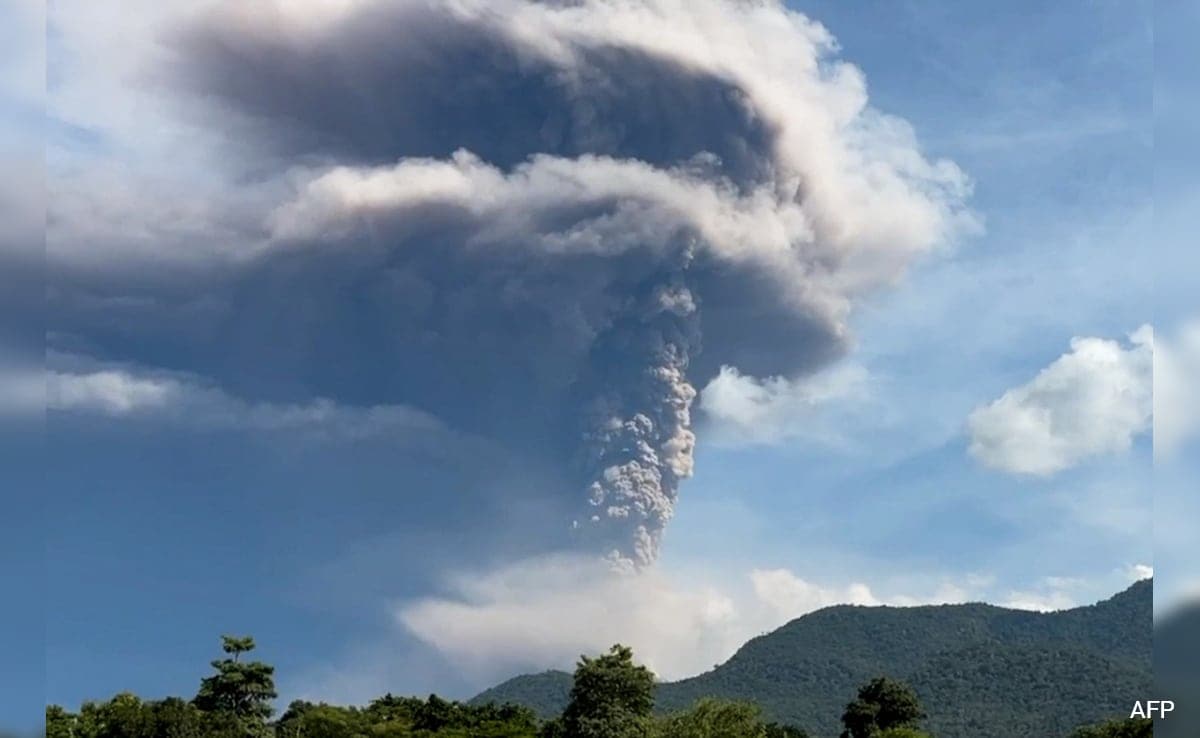 New Research Links Volcanic Activity To Origins Of Black Death Pandemic New Research Links Volcanic Activity To Origins Of Black Death Pandemic