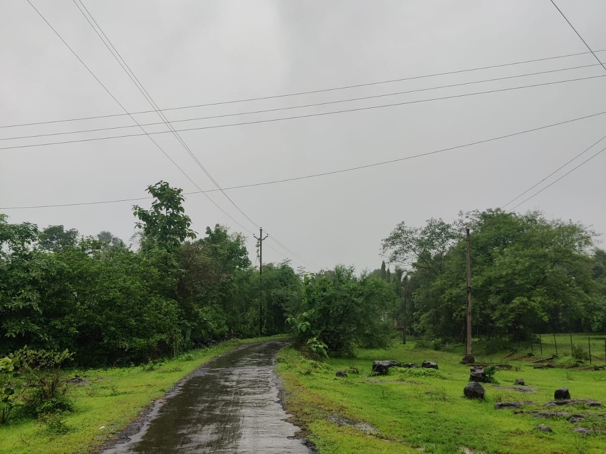 Mumbai Rain News: IMD Issues Yellow Alert For Mumbai, Thane and Palghar; Check 5-Day Forecast