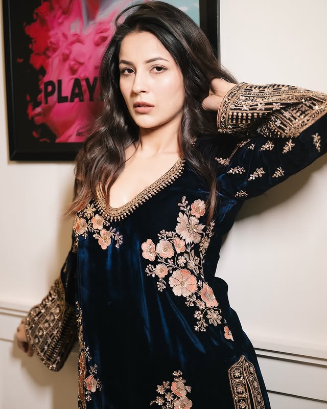 Shehnaaz Gill Admits To Being Used As 'Prop' In Films: "Not Getting Good Stories"