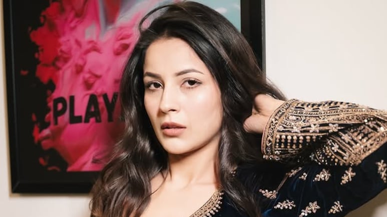 Shehnaaz Gill Admits To Being Used As 'Prop' In Films: "Not Getting Good Stories"