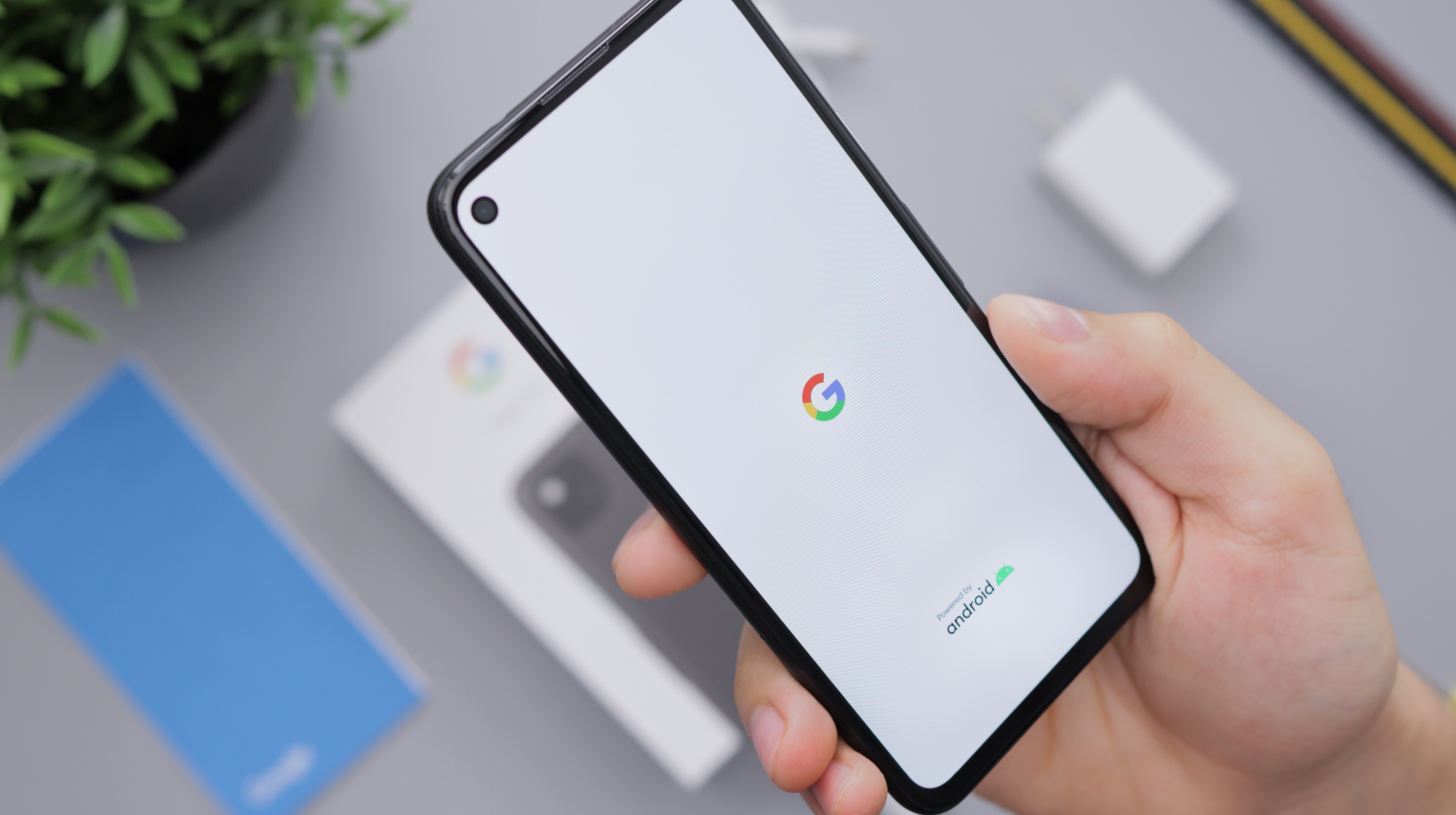 Appeal Against CCI Order To Become 'Fait Accompli,' Google Tells Supreme Court