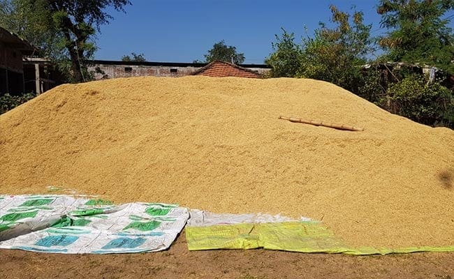 Paddy Procurement Stands At 695.67 Lakh Tonnes In 2021-22 Season