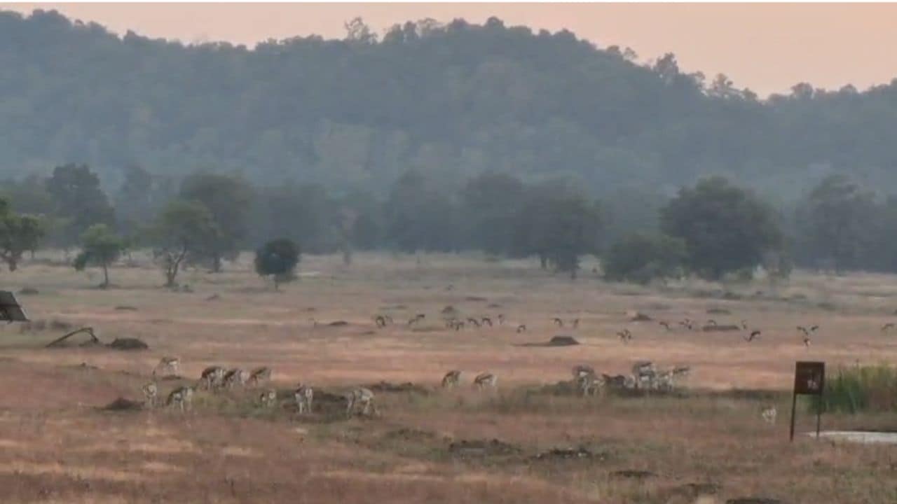 Latest and Breaking News on NDTV Latest and Breaking News on NDTV