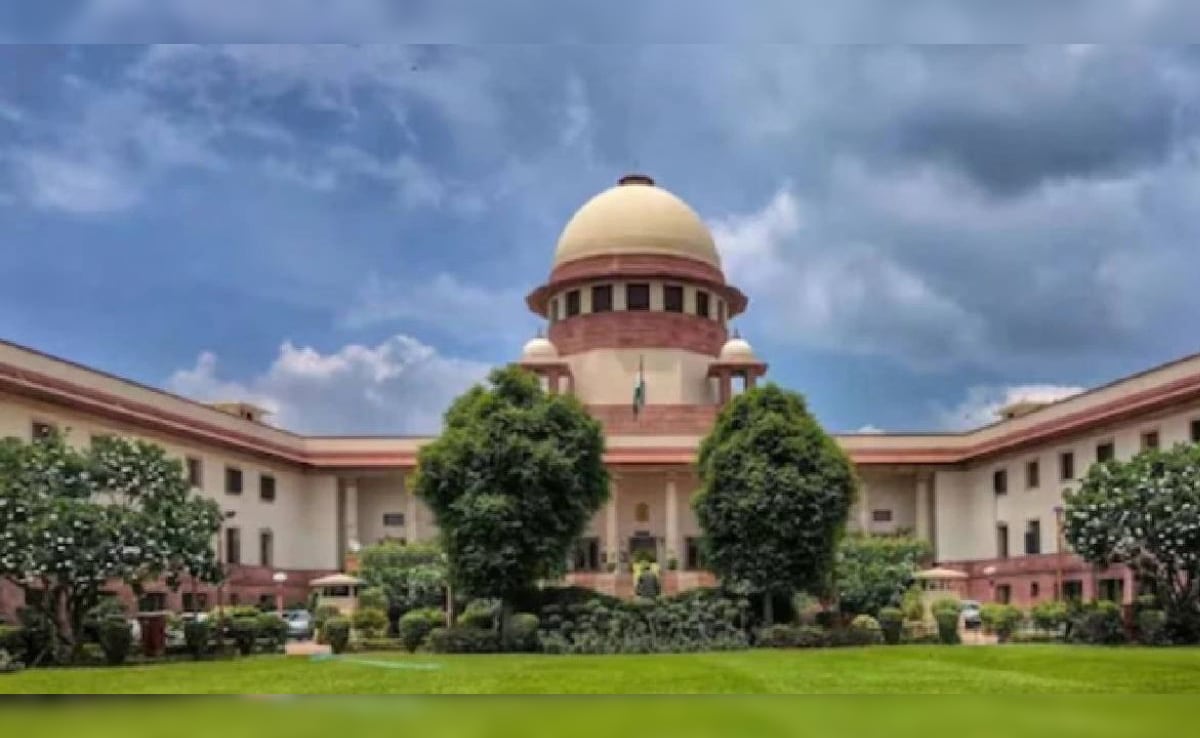 'Can't Keep Him Like This': Court On Man's Plea To End Son's Life Support