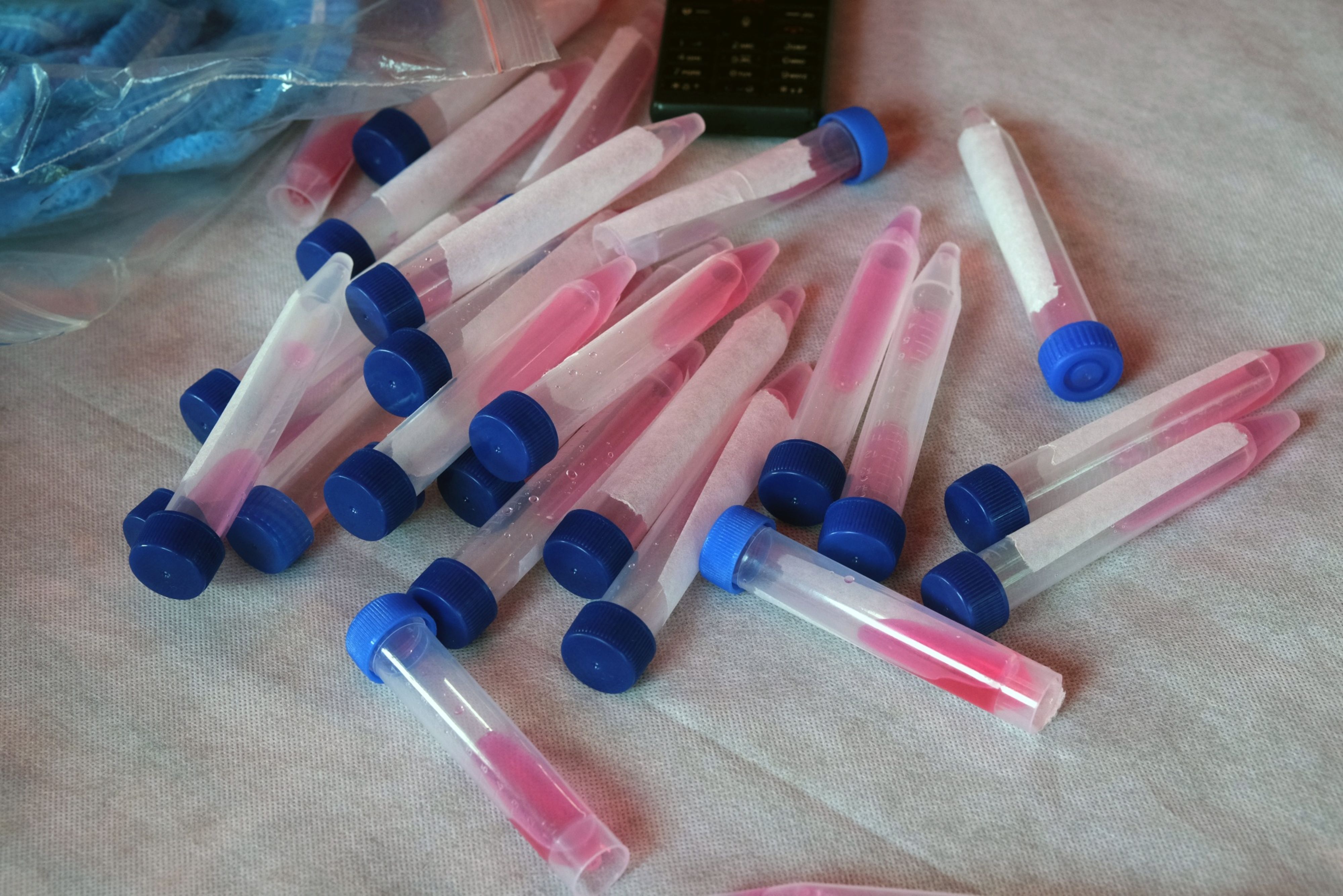 Coronavirus India Latest Updates: Active Cases Rise For Second Day