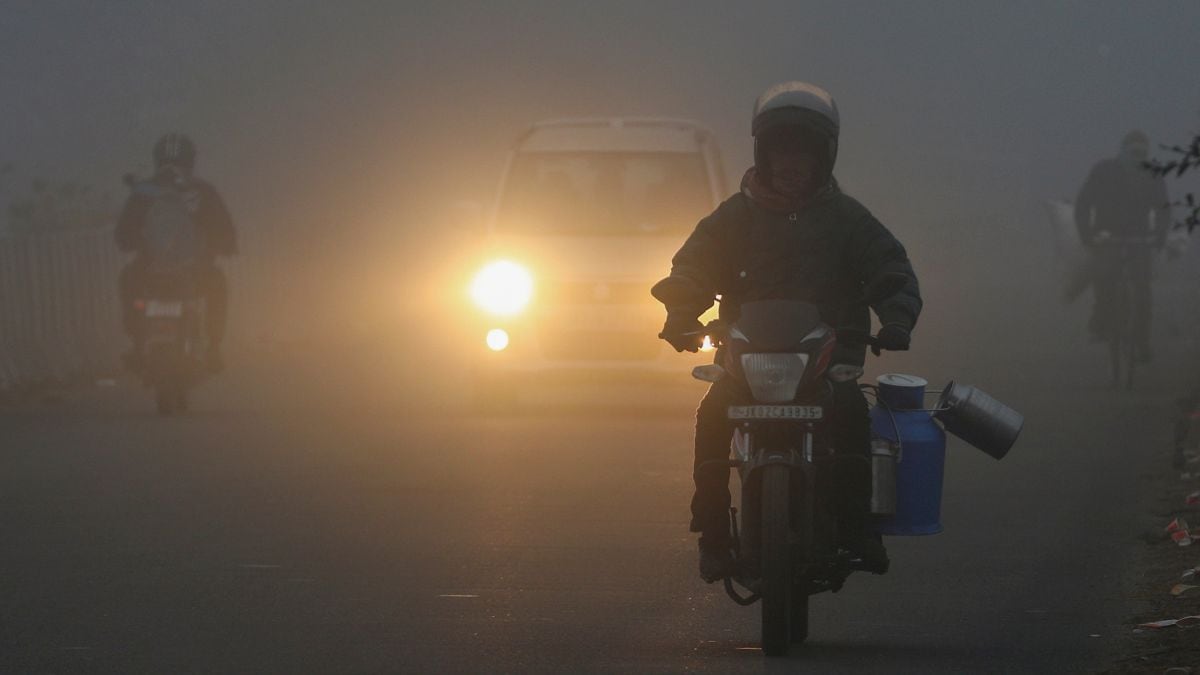 MP Weather: कोहरे के आगोश में मध्य प्रदेश, ग्वालियर-चंबल-रीवा समेत 7 ...