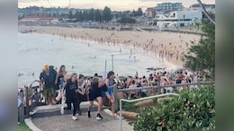 "Bloodbath, Massacre": October 7 Attack Survivor Injured In Sydney Shooting