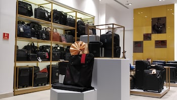 How Samsonite's Nashik Plant Beat European Units In Volumes — Lesson From Economic Survey 2026