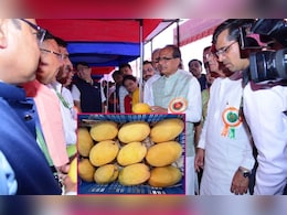 Junnar Gold Mango: 'गोड न्यूज'! 'जुन्नर गोल्ड' आंब्याला केंद्र शासनाची अधिकृत मान्यता; काय आहेत वैशिष्ट्ये?