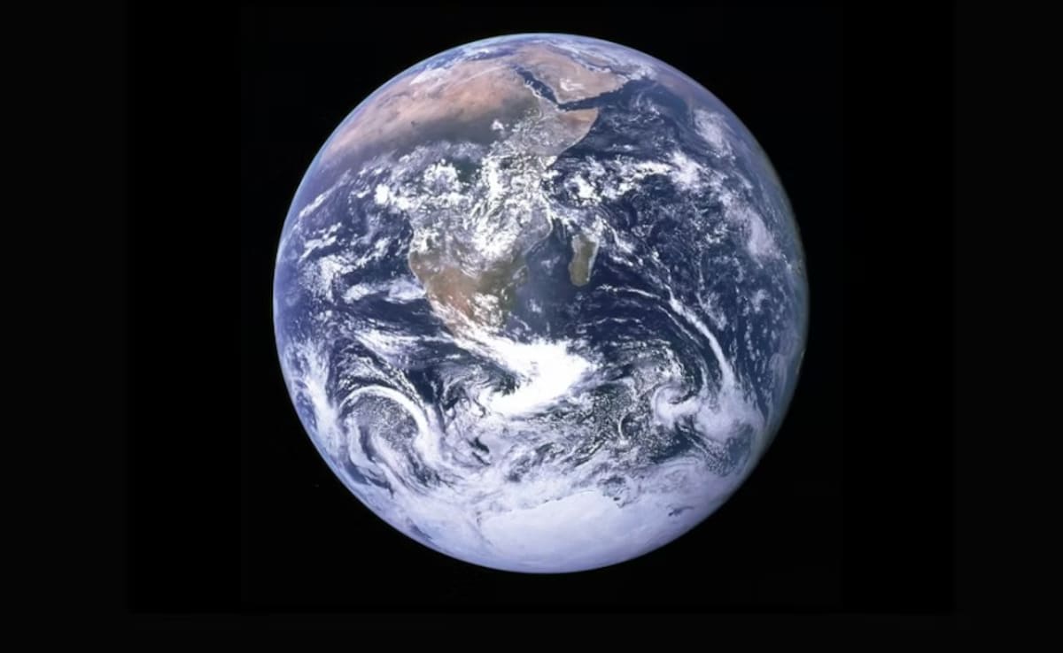 The Art of Baking: From Classic Bread to Artisan Pastries