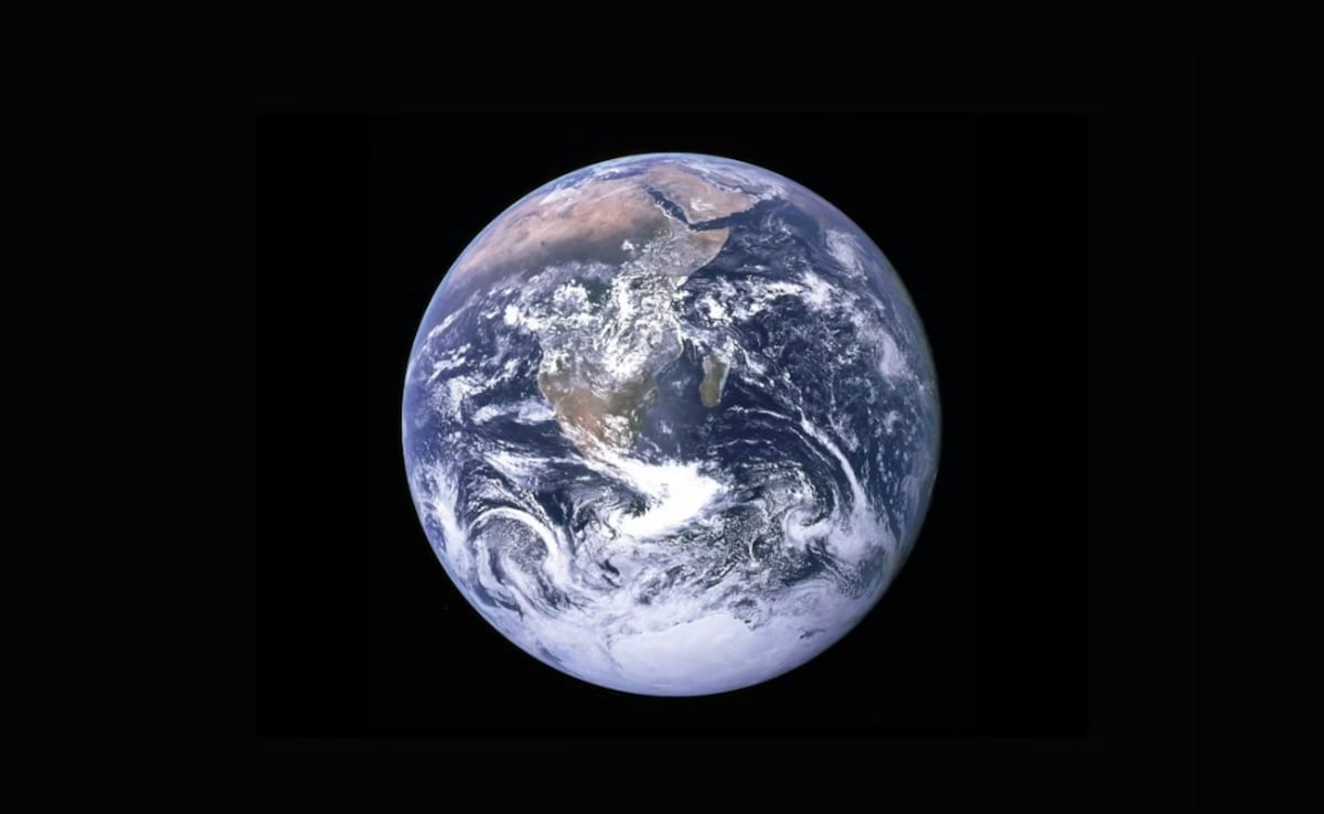 The Art of Baking: From Classic Bread to Artisan Pastries