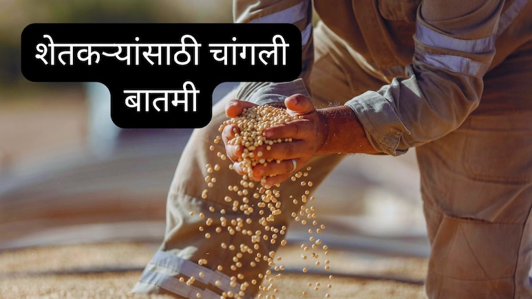 Soybean Price Hike : शेतकऱ्यांसाठी महत्त्वाची बातमी; सोयाबीनच्या दरात मोठी वाढ