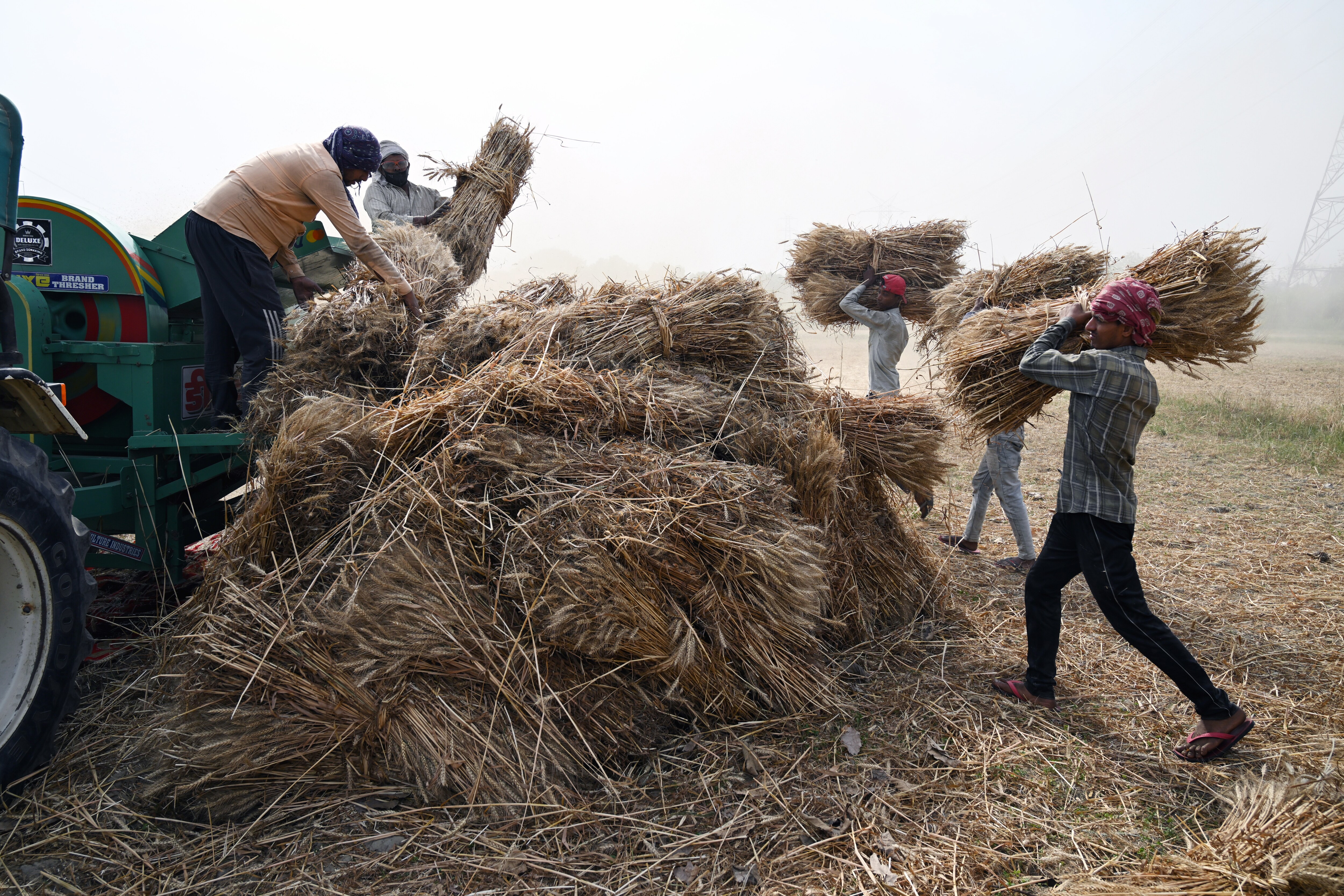 India&rsquo;s Wheat Millers Seek Import Tariff Cut to Boost Shipments