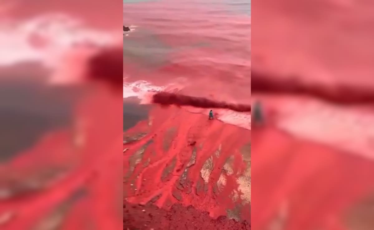 Latest and Breaking News on NDTV