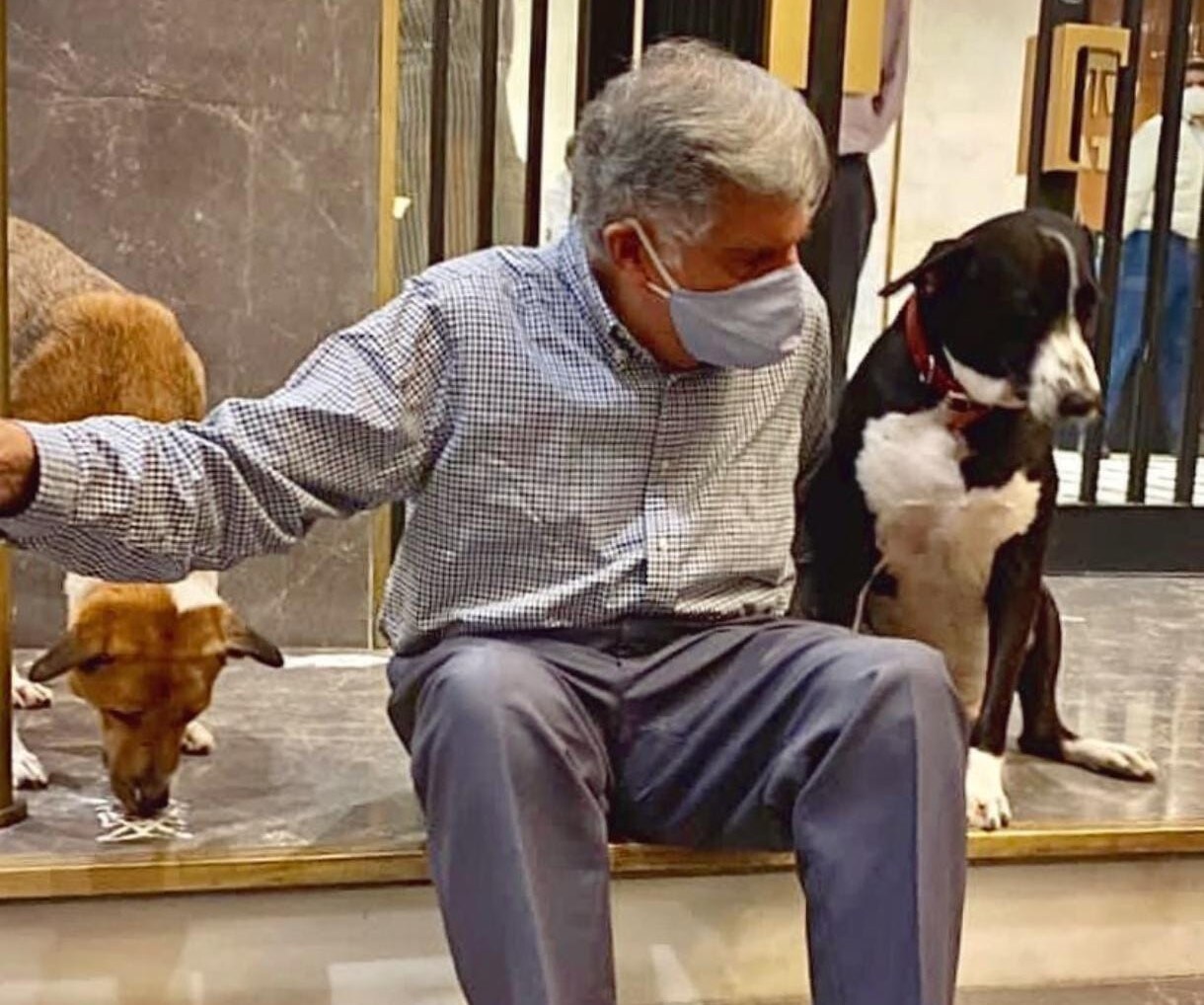 Ratan Tata Was Kind To Furry Friends &mdash; Kennels, Amenities For Stray Dogs