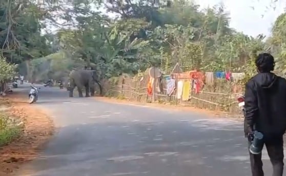 Latest and Breaking News on NDTV Latest and Breaking News on NDTV