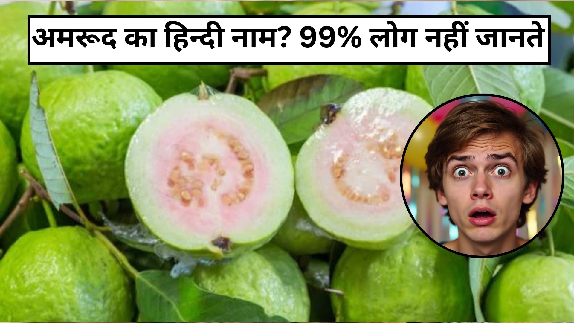 क्या आप जानते हैं अमरूद का हिन्दी नाम? 99% लोग नहीं जानते