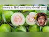 क्या आप जानते हैं अमरूद का हिन्दी नाम? 99% लोग नहीं जानते